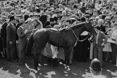 Iconic racehorse Shergar killed ‘in an awful way’ after kidnapping, claims Aga Khan’s daughter