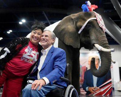 Gee, whiz: elephant relieves itself on floor of Texas Republican convention