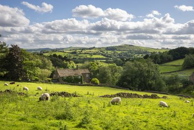 The Sunday poem: June, by James Norcliffe