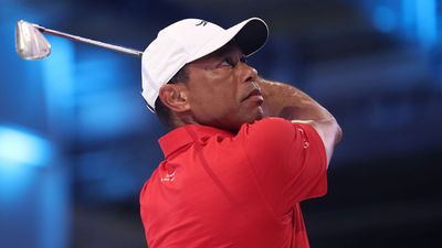 Report: Tiger Woods Returns Home Following Rehabilitation Treatment