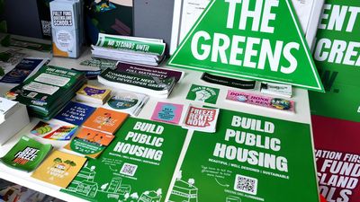 The curious case of the missing Greens voters