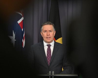Angus Taylor using NDIS cuts as ‘pawn in bigger chess game’, Mark Butler warns