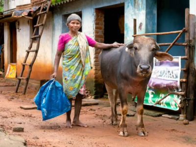 From Homemaker to Dairy Queen: All about Daryaben, this Gujarat woman who built a Rs 1.85 crore empire
