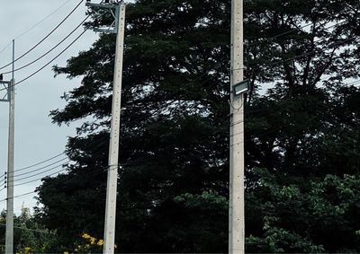 Injured drunk jokingly blames lamppost after collision