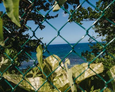Jamaican beach access campaigners go to court to fight privatisation of coast