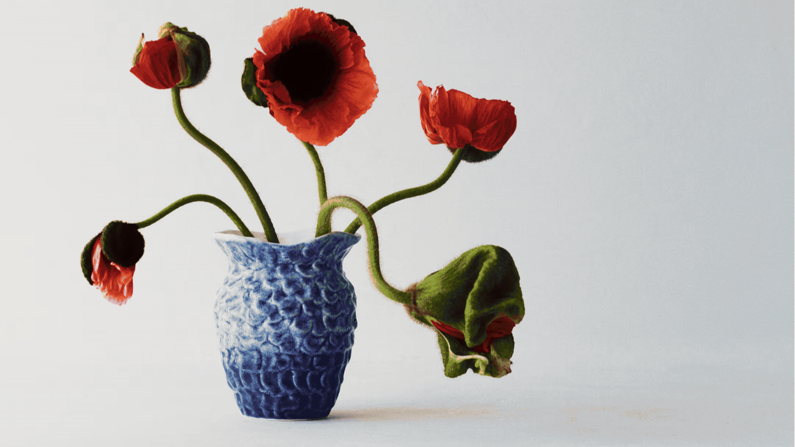 I Shop for a Living, So Trust Me When I Say These Are the Coolest, Hottest, and Newest Homewares Released in June, So Far