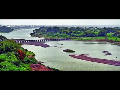 Afforestation, dolphin revival show life returning to Ganga under Namami Gange: NMCG
