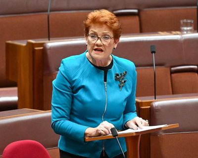 We laughed at Trump’s run for president and marvel at the rise of Pauline Hanson. Why didn’t we see the sleeping threat?