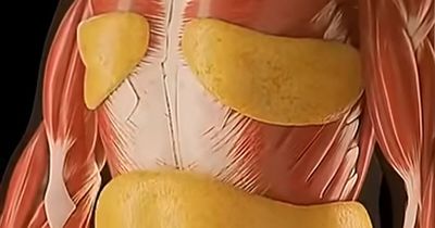 Mind-Blowing Simulation Reveals What 36 Hours Of Fasting Really Does To Your Body