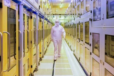 Anutin unveils chip hub vision