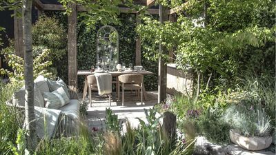 5 Tiny Flowers Perfect For a Summer Tabletop Garden – They’ll Bloom Until Fall With Minimal Maintenance