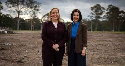 New public school announced for fast-growing suburb