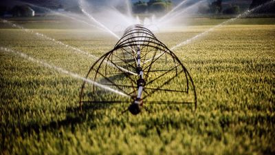 Amazon says its data centers consume only 0.075% of the water Americans use for watering their lawns and gardens — company also boasts of its improvements in water efficiency