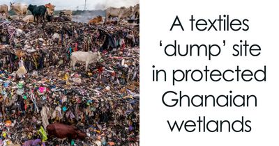 20 Harsh Pics From The Group That Is About “All Things That Are Just Awful” (New Pics)