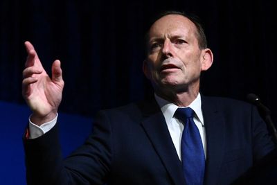 Shark expert says Tony Abbott ‘doesn’t understand the science’ after former PM calls for cull
