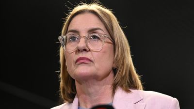 Deputy swears off move to oust premier as Labor slides