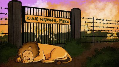 Cheetahs in Kuno, lions in waiting: Inside India’s most contested conservation project