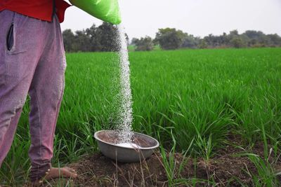 India’s fertiliser subsidy model is broken; direct income support is the only way forward: Ashok Gulati