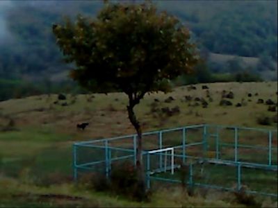 Dry Leaf review – three-hour amble around the football pitches of Georgia in search of a daughter