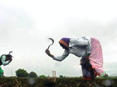 Finalising NFL's tender to import 17 lakh tonnes of urea; stock comfortable for Kharif season: Government