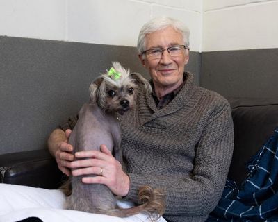Savage, a play about Paul O’Grady’s rise to national treasure, to premiere in February