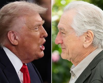 ‘Loving our country sounds like an abused spouse saying they love their abuser’: Robert De Niro leads crowd in rallying cry against Trump