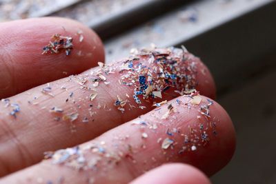 The breakthrough tests that could map where microplastics have clustered in your body
