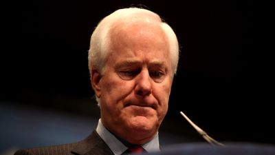 Weeks after his Texas primary loss, Sen Cornyn predicts Trump will have ‘the most miserable two years of his life’