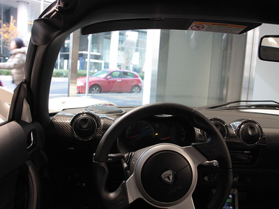 Tiny fake heads, celebrity faces and blinking screens are helping some Tesla drivers in China game camera safeguards