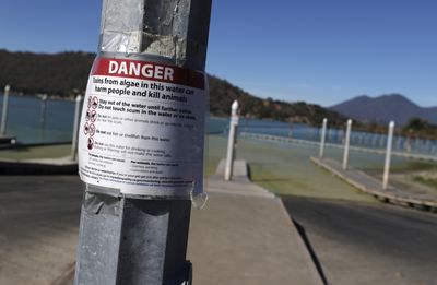 Toxic Algae Blooms Are Turning America's Swimming Lakes Green and Dangerous — and Record Summer Heat Is Making 2026 One of the Worst Years in Recent Memory