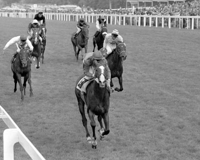 Shergar’s sad demise has racing fans hoping famous colours sparkle at Royal Ascot