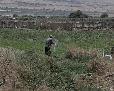 Settler products from occupied Palestine sold to Europe as Israeli, investigation finds