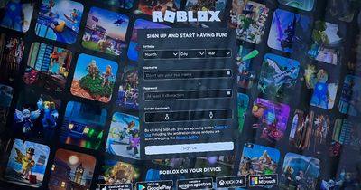 Family Sues Roblox After Man Posed as Teen Boy Sends and Coerces 11-Year-Old Child To Share Explicit Images