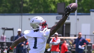 Why Rob Gronkowski Believes A.J. Brown Could Be the Patriots’ Next Randy Moss