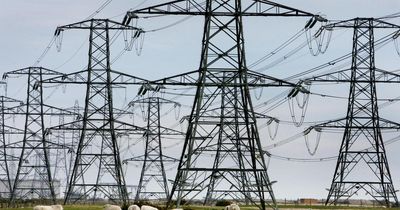 Scotland records historic power surge during World Cup win