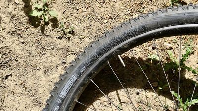 WTB Verdict TCS Light High Grip review: Awesome grip levels