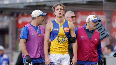 Suns battle fine, Kangaroos fight ban at tribunal
