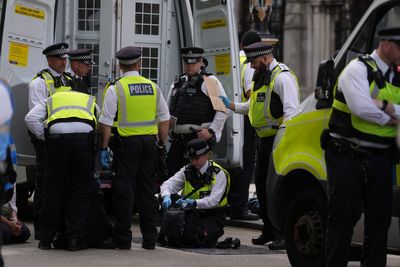 More than 100 arrested at protest outside court amid Palestine Action ruling
