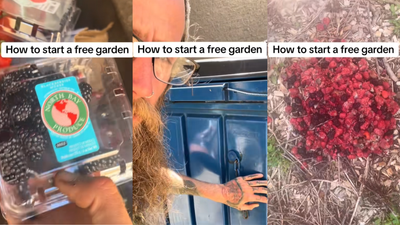 Ohio Man on TikTok Has an Unusual Advice for a Free Garden: ‘It Might Seem a Little Gross’