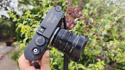 Leica 21mm Summilux-M f/1.4 Asph review – rare and beautiful, but a serious investment