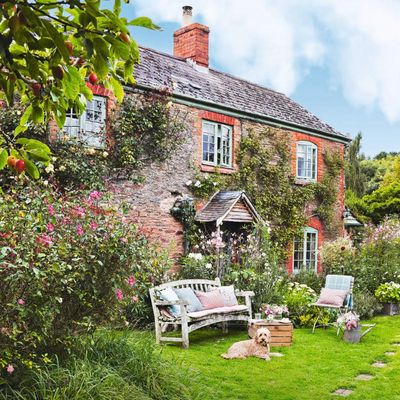 Grandma gardens are trending right now – how to get the look for a wholesome, low-maintenance garden full of colour