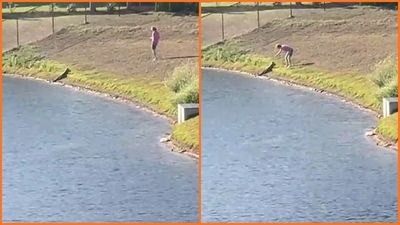 ‘Is she crazy?’: Woman calmly walks up and grabs what her apartment warned was a gator while onlookers panicked behind the camera