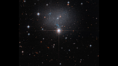 Hubble spies a swarm of stars in a strange, irregular galaxy | Space photo of the day for June 15, 2026