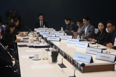 PP demands overhaul of committees