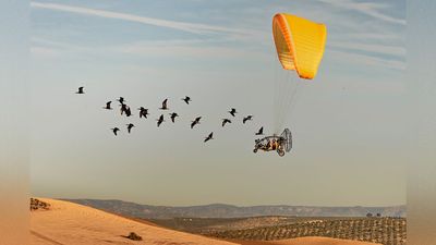 This shot of conservationists soaring the skies with a flock of endangered birds just won a science photo competition