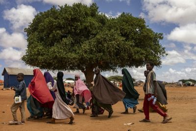 Nearly half the world's children exposed to three or more climate risks: Unicef