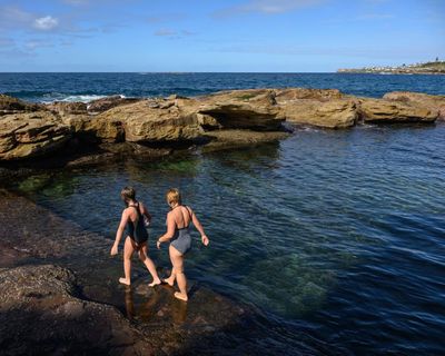 ‘Something is changing’: Sydney records warmest run of June days in more than a century