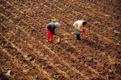 India eyes biofertilisers after Mideast war stoked supply fears