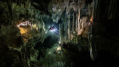 A pitch-black underwater cave, a diver, and a fragile ecosystem: This award-winning underwater image is both terrifying and inspiring