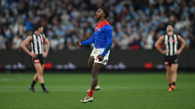 Demons superstar Pickett 'scratching surface' of talent